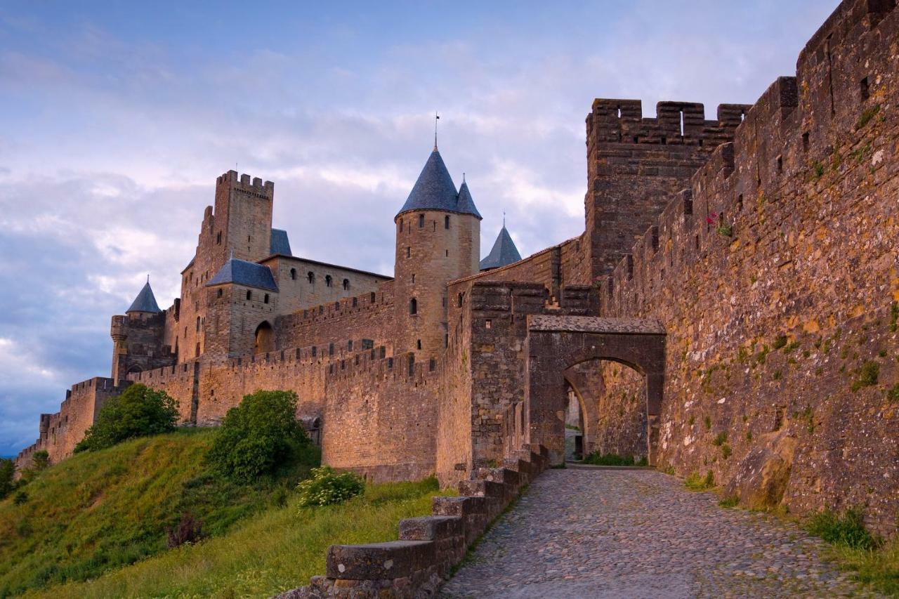 Appartement L'Oliveraie - La Cite Plein Les Yeux Carcassonne Exteriör bild
